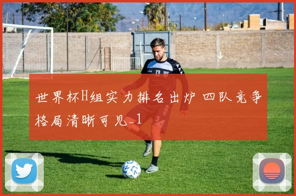 世界杯H组实力排名出炉 四队竞争格局清晰可见_1