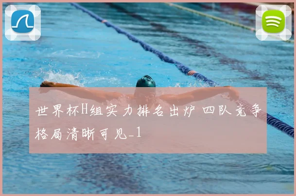 世界杯H组实力排名出炉 四队竞争格局清晰可见_1