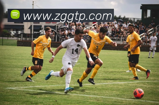 世界杯平台官网登录APP 体育赛事宣传图